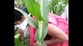 Indian village Bhabhi sex in farm